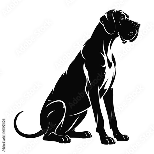 Silhouette of a majestic great dane dog sitting gracefully