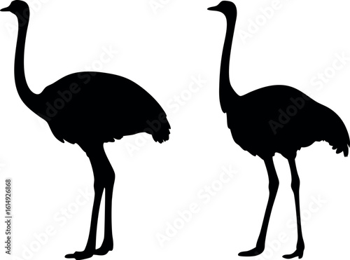 ostrich silhouette vector, emu bird black symbol