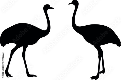 ostrich silhouette vector, emu bird black symbol