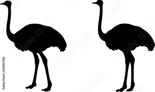 ostrich silhouette vector, emu bird black symbol