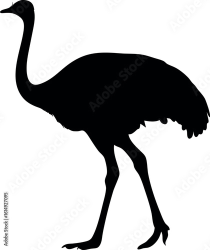 ostrich silhouette vector, emu bird black symbol