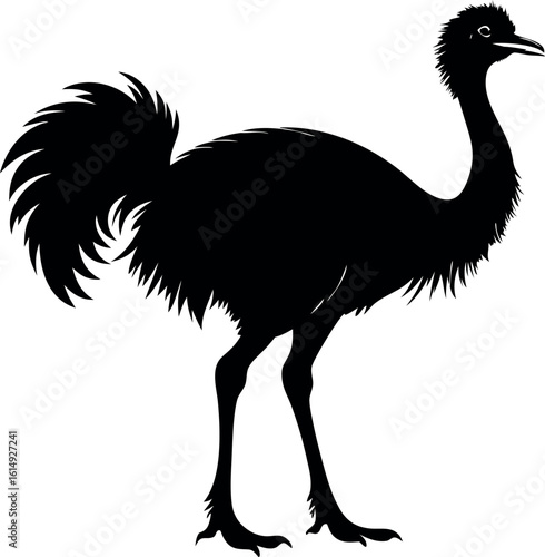 ostrich silhouette vector, emu bird black symbol