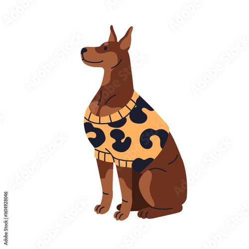 Dog sitting in clothing. Cute doberman puppy dressed in sweater apparel. Obedient purebred pet, doggy in warm canine animal outfit, vest. Flat vector illustration isolated on white background