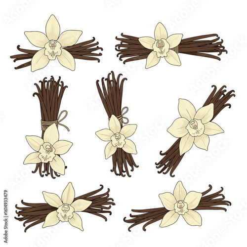 Beautiful vanilla bean pods tied with twine next to delicate orchid flowers representing sweet natural flavor and aroma