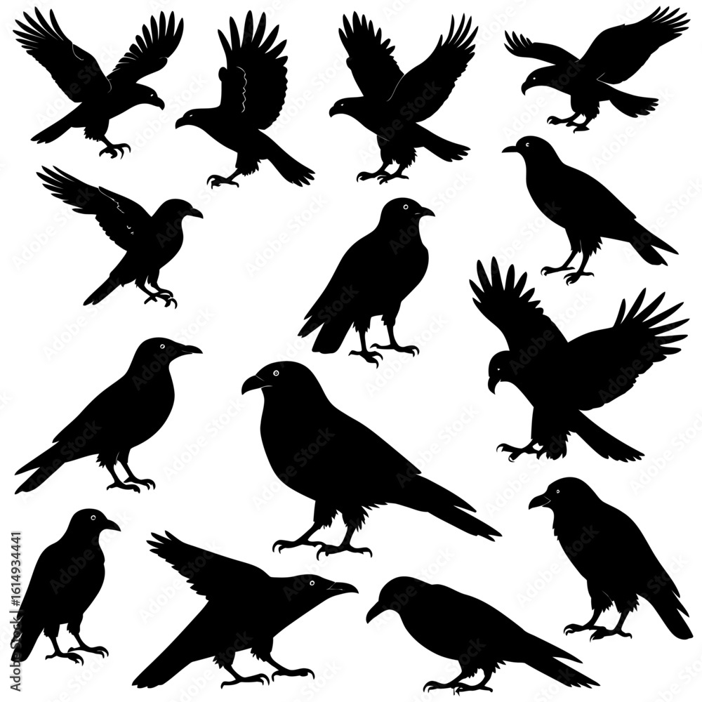 Fototapeta premium set of silhouettes of birds