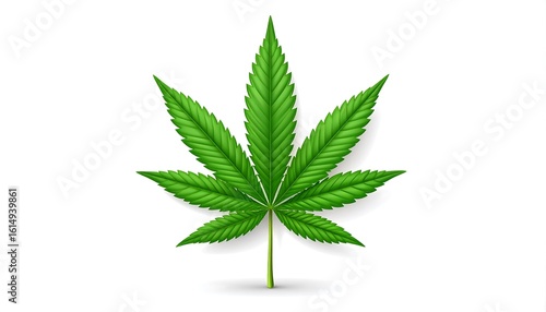 Isolated vibrant green cannabis leaf