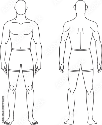 le Body Outline Front and Back View – Minimal Human Anatomy Vector for Medical and Fitness Design