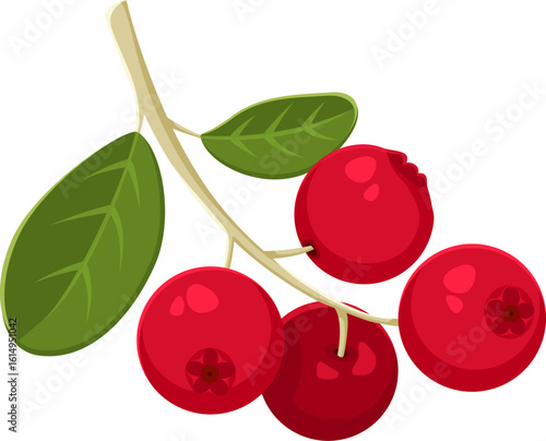 Thanksgiving Day cartoon symbol of rowanberry for autumn holiday harvest, vector icon. Happy Thanksgiving Day symbol for greeting card, cartoon rowan berries for traditional decoration on fall holiday