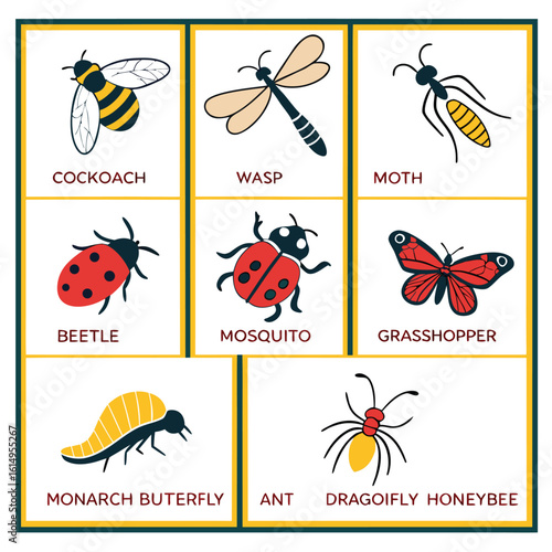 Insect identification chart for young learners featuring various common bugs