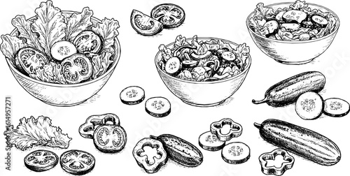 Black and white sketch of a salad bowl with various vegetables.