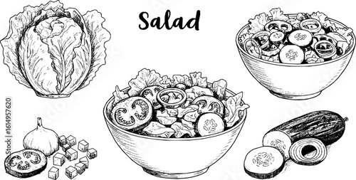 Black and white sketch of a salad bowl with various vegetables.