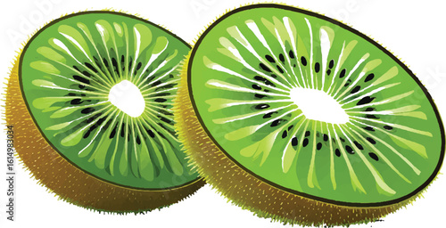 Vector illustration of two kiwi halves. Fresh, ripe, and exotic fruit slices for healthy eating concepts. Green kiwifruit isolated on a white background.
