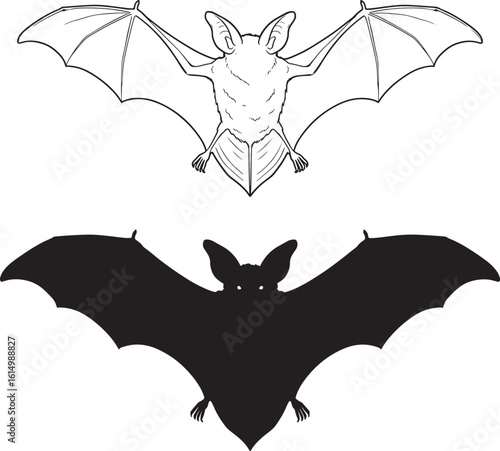 Two bats flying one detailed outline and one black silhouette