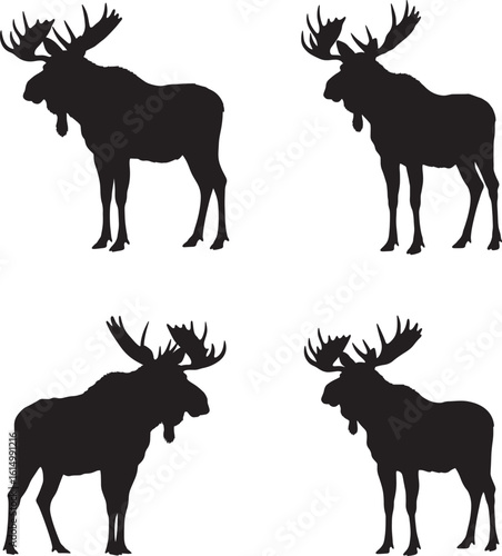 Four distinct moose silhouettes standing proudly silhouette