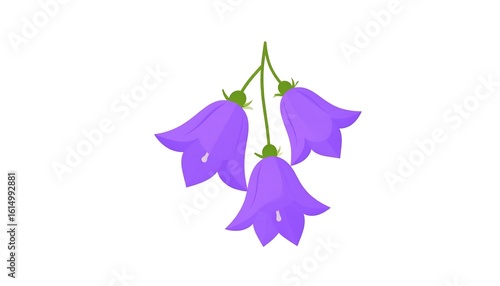 Three purple bell flowers hanging
