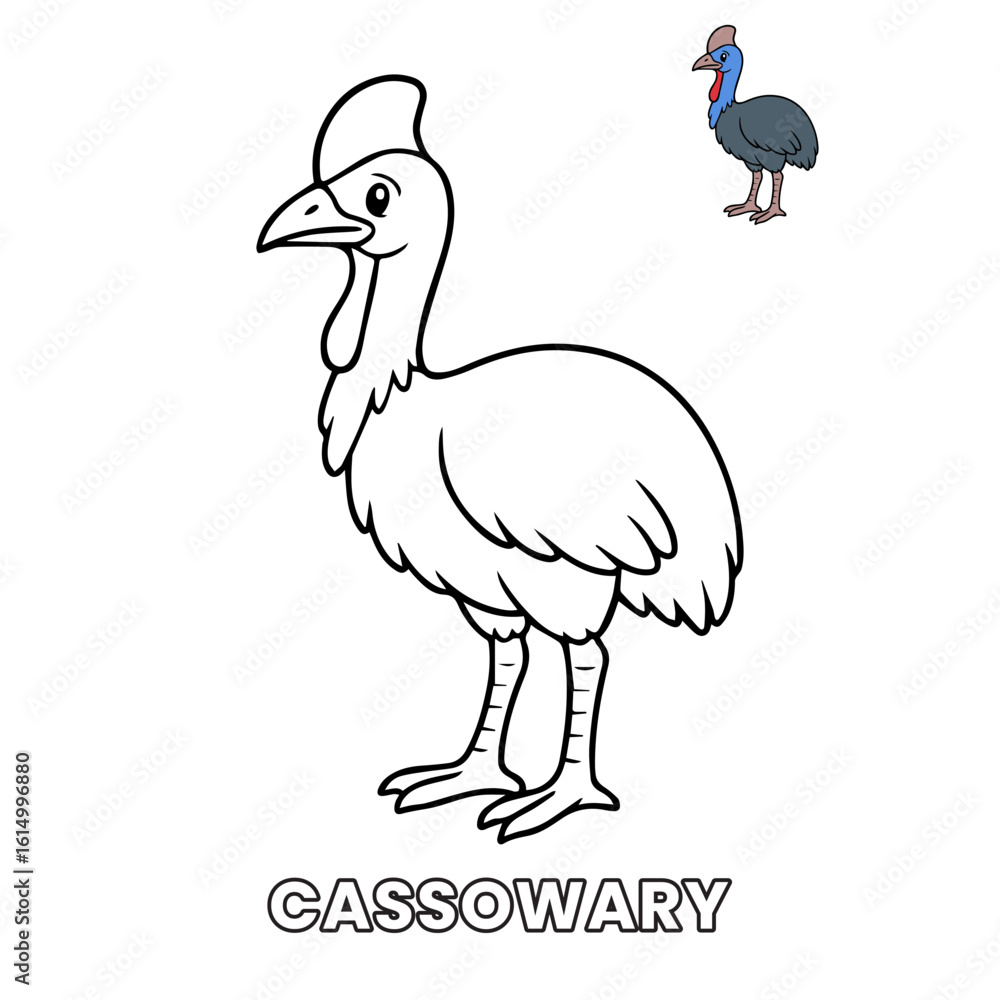 Fototapeta premium Cassowary Animal Children Coloring Pages