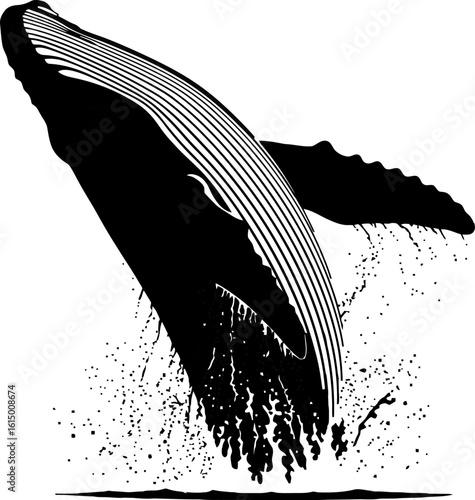 Black And White Illustration Of A Whale Breaching The Surface