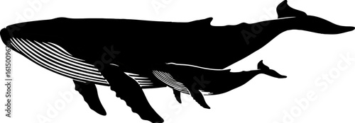 Black Silhouette Depicting Whale And Calf Swimming In The Ocean Together