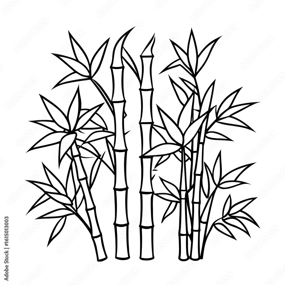 Obraz premium bamboo vector illustration