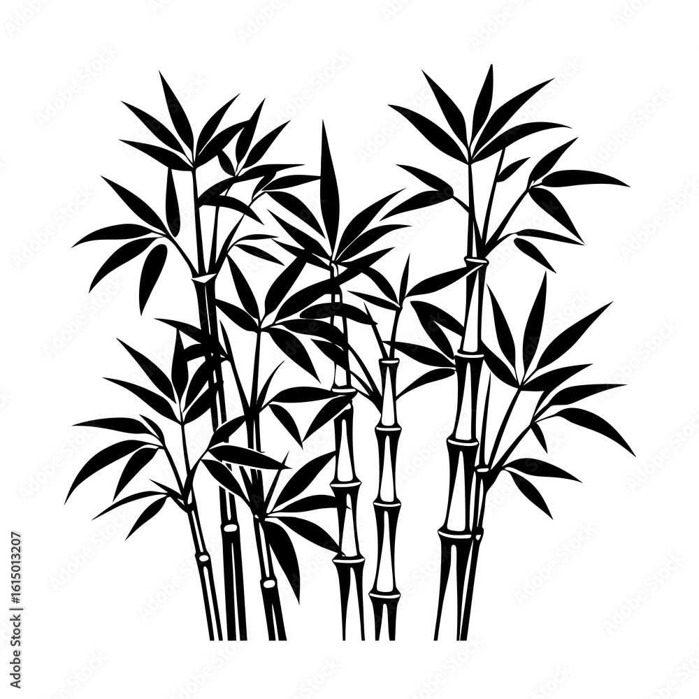 Obraz premium bamboo vector illustration