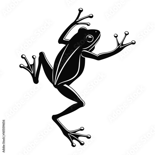 Black Frog Silhouette with Outstretched Limbs on White Background