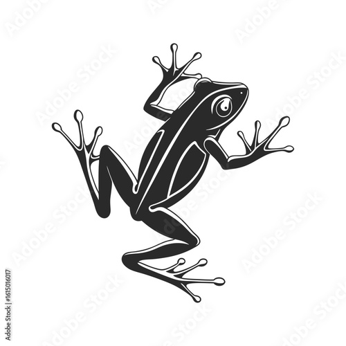 Black Frog Silhouette with Outstretched Limbs on White Background