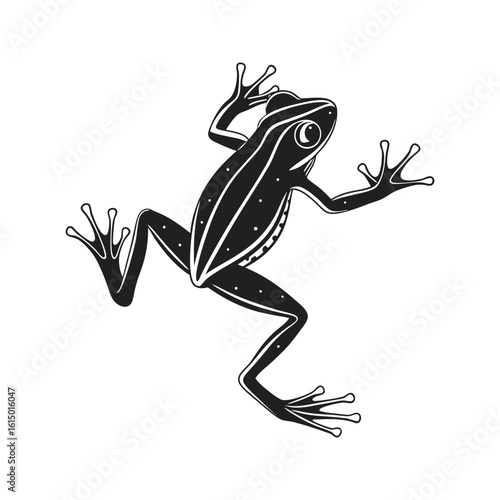 Black Frog Silhouette with Outstretched Limbs on White Background