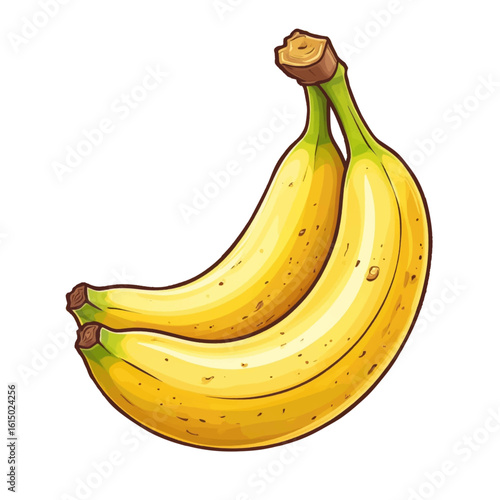 Ripe banana, vector illustration. Fruit isolated on white background. Bunch of bananas, theme of veganism, diet, healthy eating and bright tropical fruits