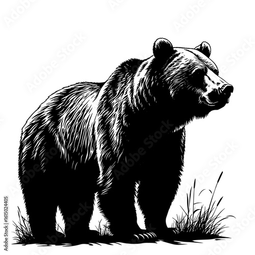Grizzly bear, black silhouette sketch. Vector illustration. A formidable strong predator of the forest, isolated on a white background