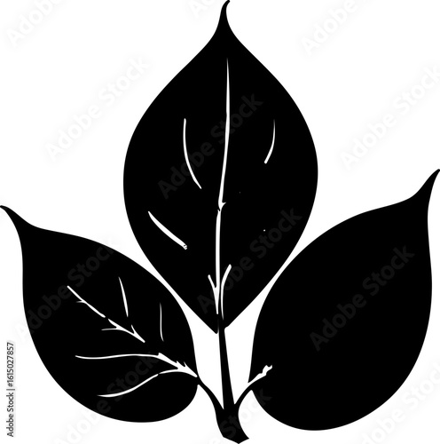 black and white leaves. 
