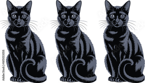 Three black cats sitting on a white background feline