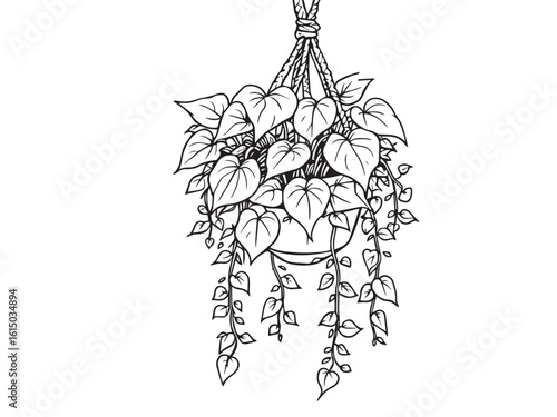 Minimalist indoor foliage design in outline vector