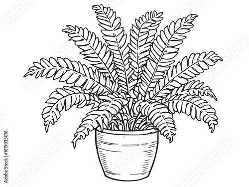 Indoor greenery sketches in modern black line art