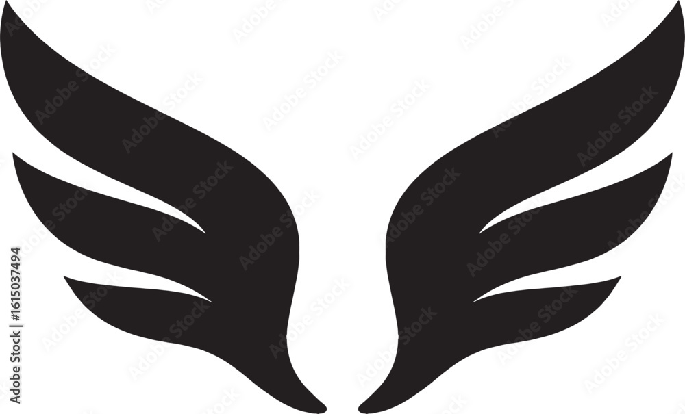 Obraz premium Stylized Wings Illustration Symmetrical Design in Black and White Art Featuring Feathered Wings Symbolic of Flight and Freedom