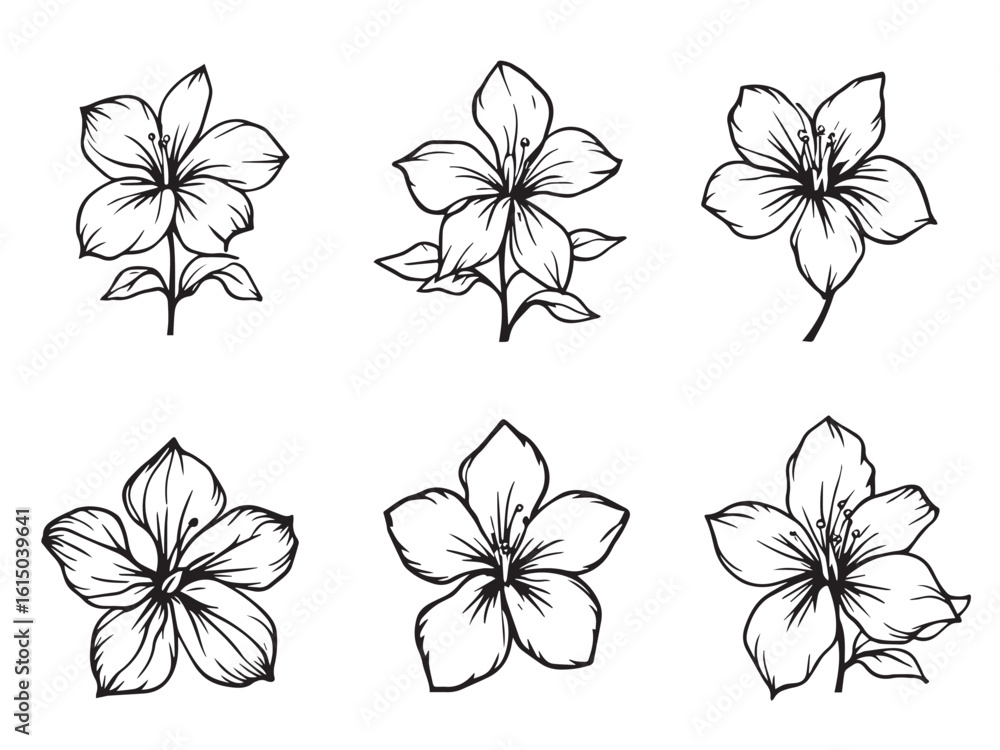 Obraz premium simple line art Ixora design