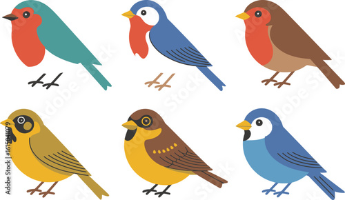 Collection of six colorful cartoon birds robin bluebird