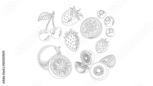 Delicate Fruit Medley Outline Drawing Cherries Strawberries Citrus Berries Line Art Design