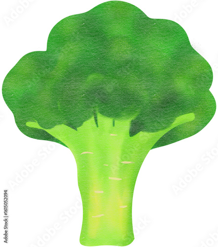 broccoli isolated on white