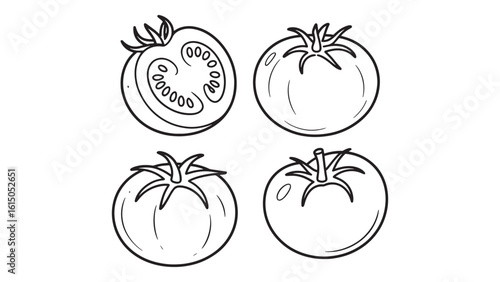 Tomato Slices and Whole Tomatoes Outline Vector Illustration for Food and Cooking