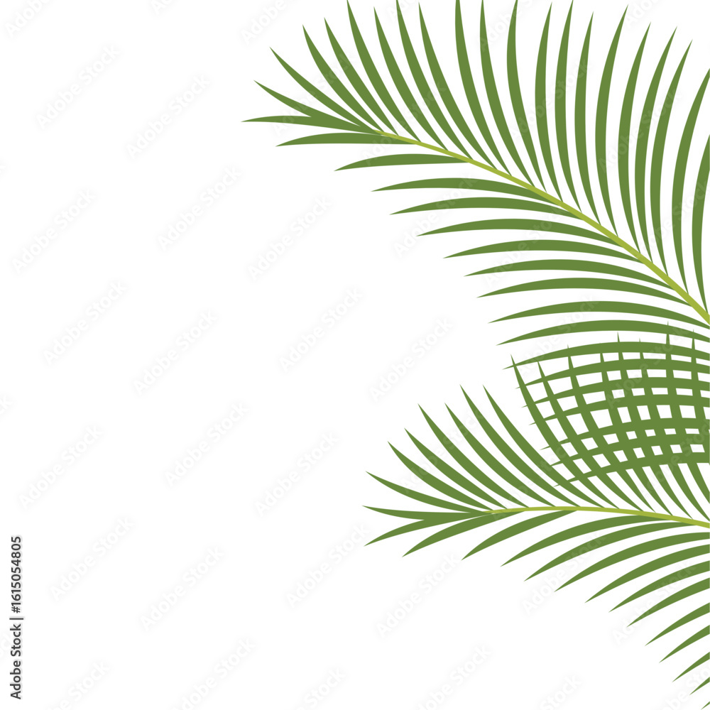 Coconut Leaf Corner Illustration Coconut Leaf Corner Illustration