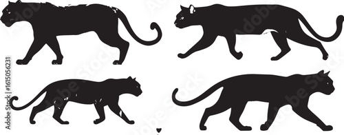 Wild Cat Silhouette Vector Collection

Big Cat Silhouettes – Tiger, Panther, Leopard Set

Walking Wild Cats Black Silhouette Design