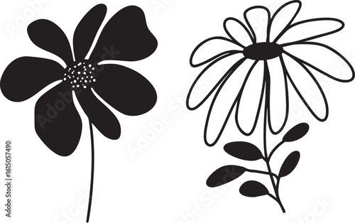 Hand Drawn Floral Line Art Illustration
