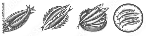 Vintage Hand-Drawn Sardines Collection Illustration, Seafood Fish Scene Engraved Style Vector for T-Shirts and Coastal Culinary Themes Design
