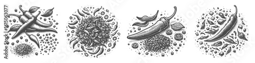 Vintage Hand-Drawn Chili Powder Collection Illustration, Spicy Seasoning Scene Engraved Style Vector for T-Shirts and Culinary Kitchen Themes Design