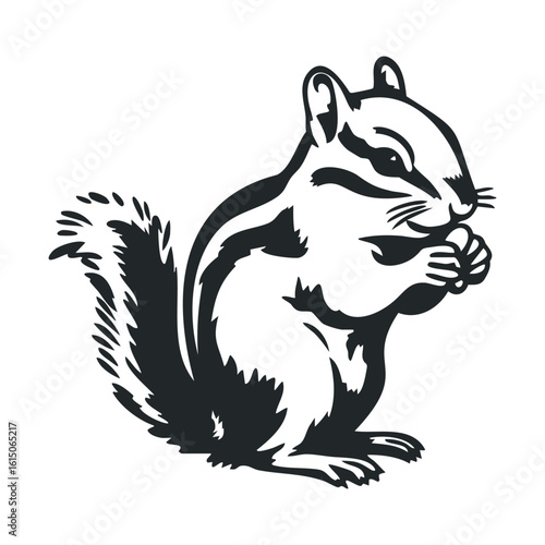 Black and white chipmunk illustration: detailed woodland animal drawing