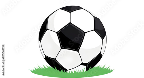  Soccer ball icon, Black and white soccer ball, Classic football, Sport ball vector, Isolated soccer ball, Soccer ball on white, Football equipment, Ball for soccer, Soccer sports gear, White backgrou