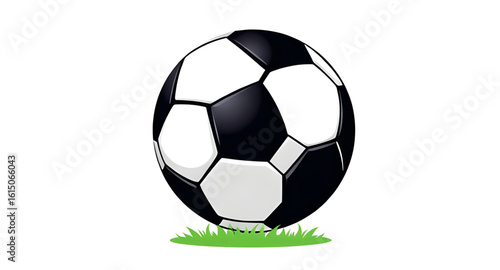 Football ball, Soccer ball icon, Black and white soccer ball, Classic football, Sport ball vector, Isolated soccer ball, Soccer ball on white, Football equipment, Ball for soccer, Soccer sports gear, 