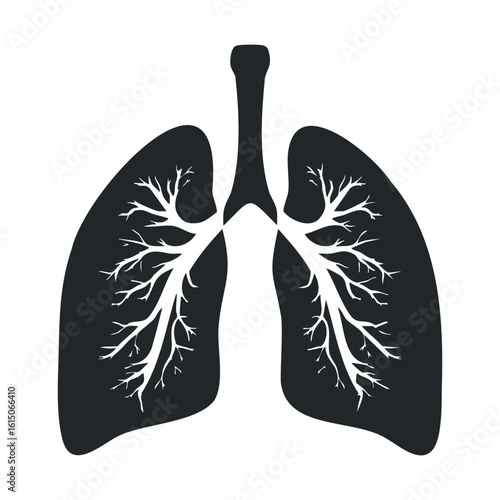 Black and white lung illustration with bronchial tree on white background