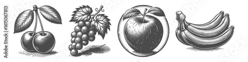 Vintage Hand-Drawn Banana Collection Illustration, Tropical Fruit Engraved Style Vector for T-Shirts and Healthy Food Themes Design