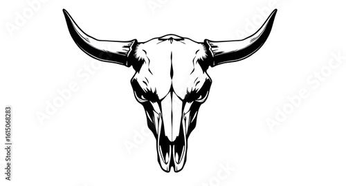 Animal skull, Bull head bone, Western skull, Cattle skull, Cow skull, Horned skull, Skull with horns, Desert skull, Bison skull, Rustic skull, Texas skull, Longhorn skull, Tribal bull skull, Bull bone